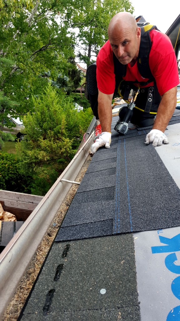 Swift Start Starter Shingles
